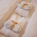 Alpine Aparthotel 4*
